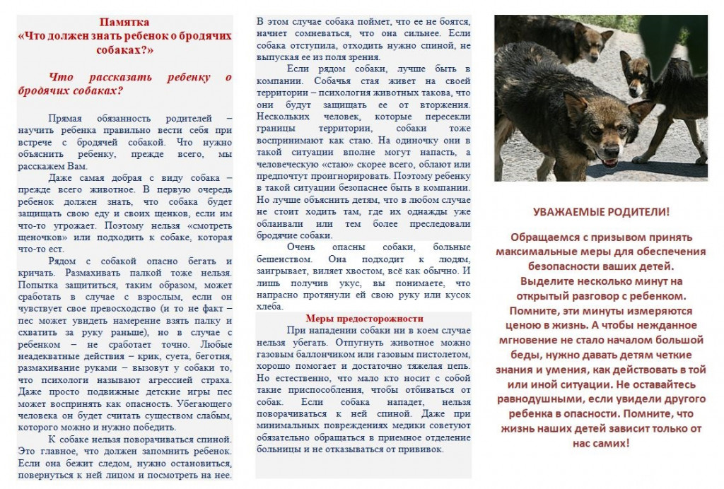 1 соб