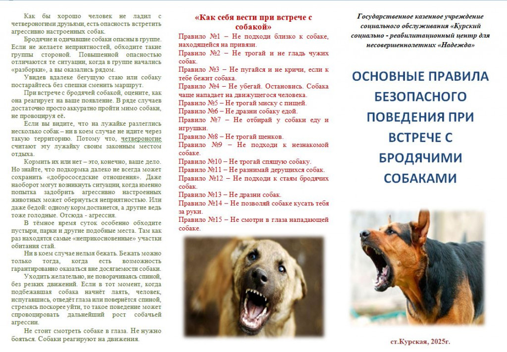 2 соб